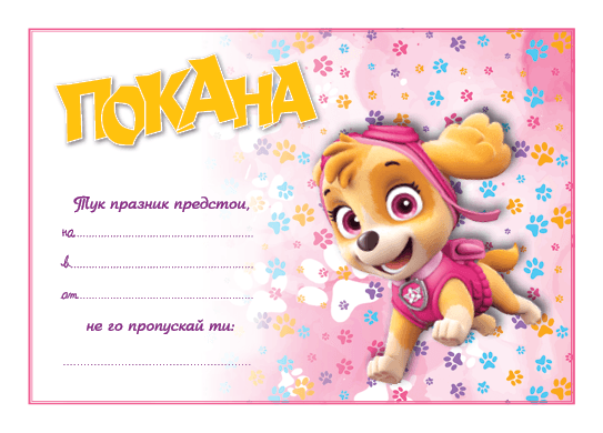 ПОКАНА ЗА РОЖДЕН ДЕН СКАЙ10БР
